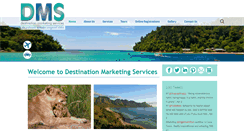 Desktop Screenshot of destinationmarketingservices.co.za
